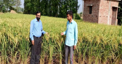 Doon News….हाईब्रिड धान बीजों से बढ़ी किसानों की आमदनी|Click कर पढ़िये पूरी News