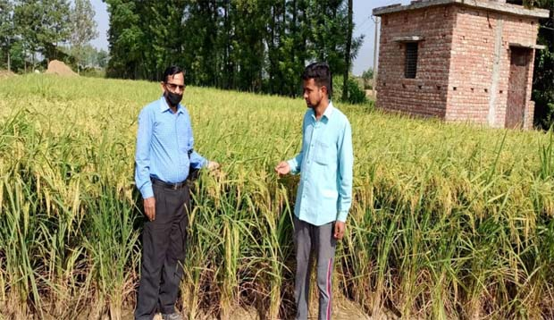 Doon News….हाईब्रिड धान बीजों से बढ़ी किसानों की आमदनी|Click कर पढ़िये पूरी News