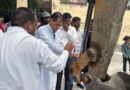 Rishikesh: वीरभद्र मार्ग में सीवरेज पंपिंग प्लांट का भूमि पूजन|Click कर पढ़िये पूरी News
