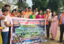 Haridwar News…’ एक वृक्ष-सौ जीवन, हरित भविष्य-हमारा संकल्प |Click कर पढ़िये पूरी News