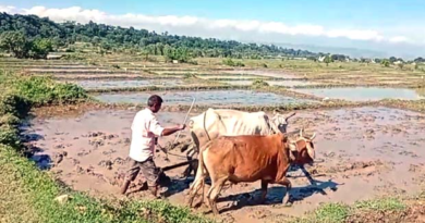 Doon News…फिर से लौटेगी  बासमती की खुशबू|Click कर पढ़िये पूरी News