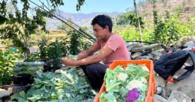 Pauri News..आधुनिक खेती से युवाओं के प्रेरणास्रोत बने नरेश भट्ट| जगमोहन डांगी की Report