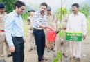 Dehradun Samachar.. संतुलित पर्यावरण के लिए जरूरी हैं पेड़ः DM|Click कर पढ़िये पूरी News