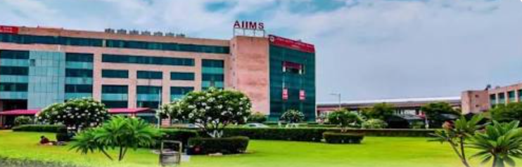 Aiims News…. ‘ सर्जरी के दौरान मरीज की सुरक्षा एनेस्थीसियोलॉजिस्ट की सबसे बड़ी जिम्मेदारी’, नुक्कड़ नाटक और सीपीआर प्रशिक्षण से फैलाया जागरूकता का संदेश|विकास श्रीवास्तव की Report